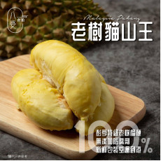 急凍-18℃ 老樹貓山王盒裝榴槤 (400g) (原味/甘苦)